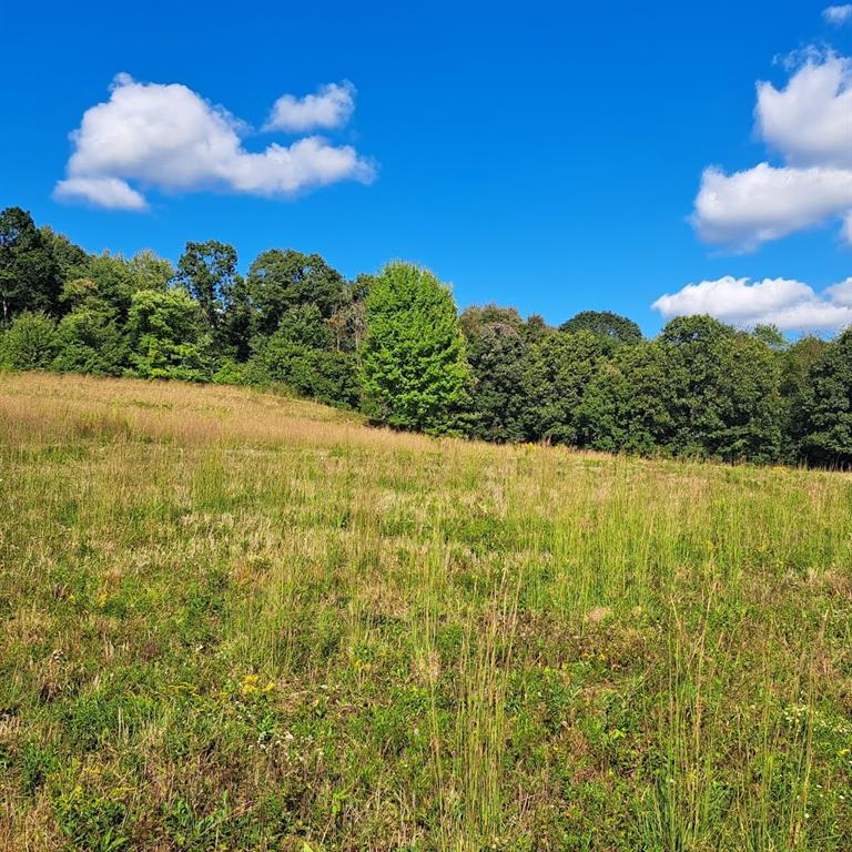 0 Chicora Road Karns City, PA 16041 - Photo 23 of 31 a view of lake with green space