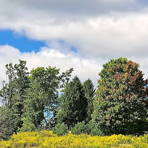 $390,000 | 0 Chicora Road, Karns City, PA 16041