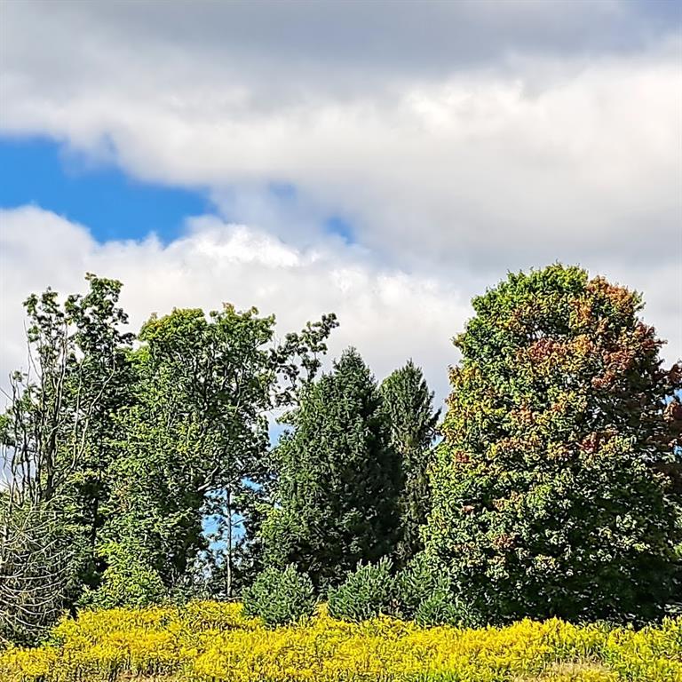 0 Chicora Road Karns City, PA 16041 - Photo 3 of 31