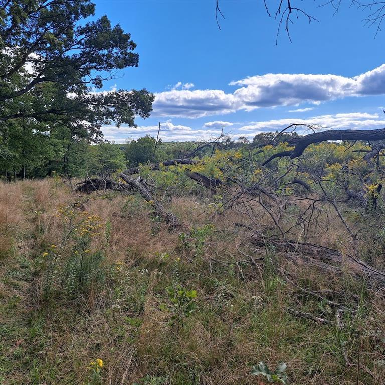 0 Chicora Road Karns City, PA 16041 - Photo 6 of 31 a view of a forest with mountains in the background