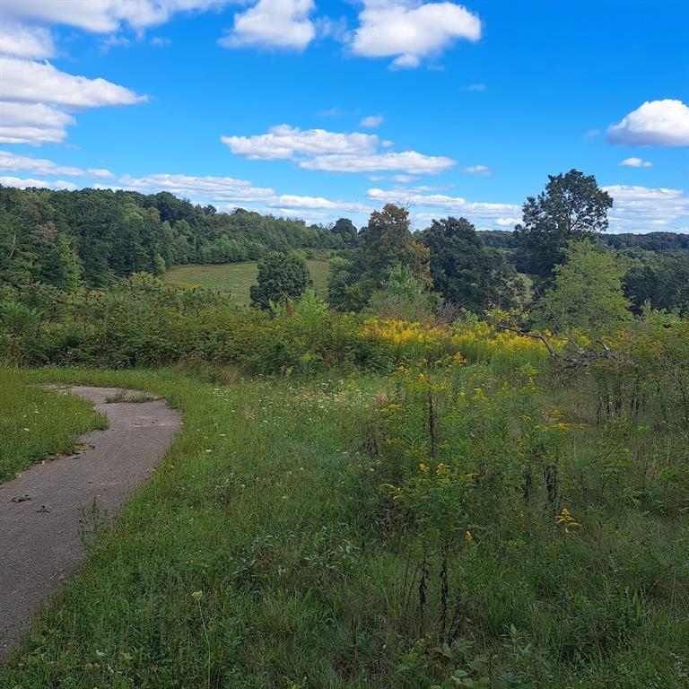 0 Chicora Road Karns City, PA 16041 - Photo 7 of 31 a view of a lake with a yard