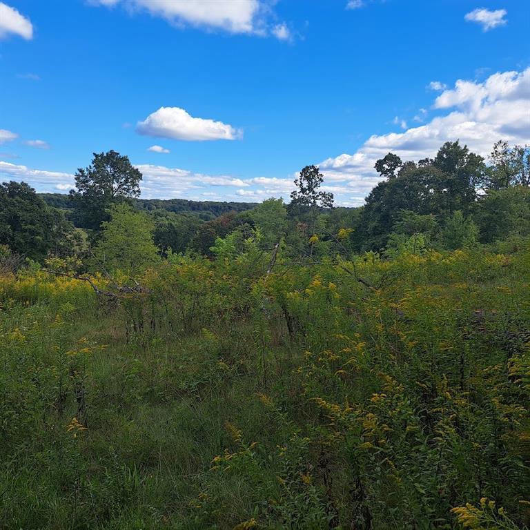 0 Chicora Road Karns City, PA 16041 - Photo 8 of 31 a view of a city