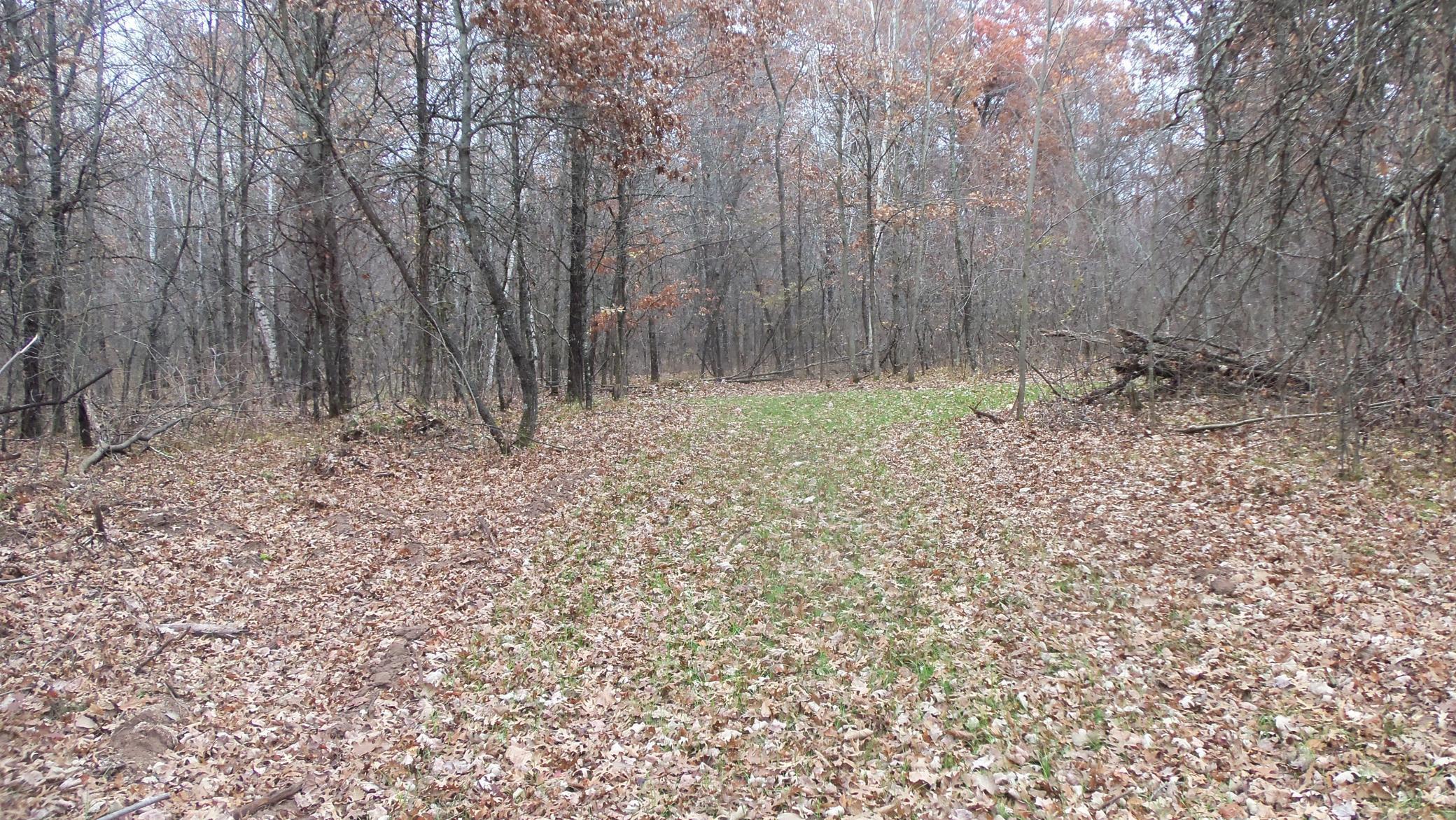 Lot 4 East River Road Grantsburg, WI 54840 - Photo 13 of 17