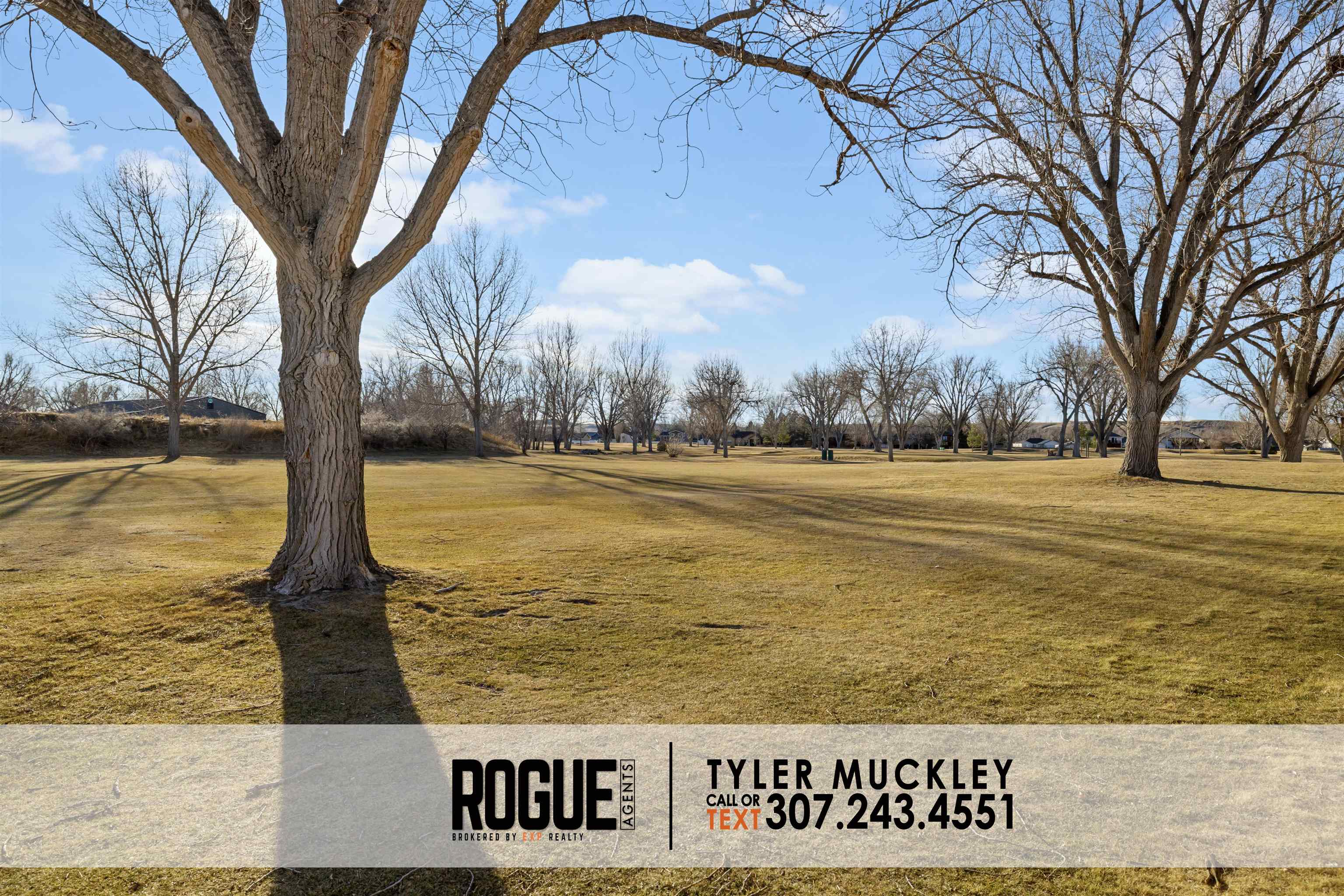54 Jonquil Street Casper, WY 82604 - Photo 46 of 48