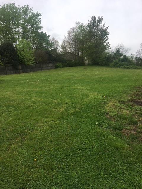 760 Davis Chapel Road La Follette, TN 37766 - Photo 12 of 12 Backyard