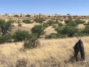 Tbd East Dragoon Road Dragoon, AZ 85609 - Photo 8 of 8 Dragoon Mining claim