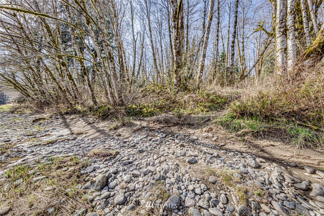 0 Goodman Mainline Road Forks, WA 98331 - Photo 16 of 28 Gallery Image 16