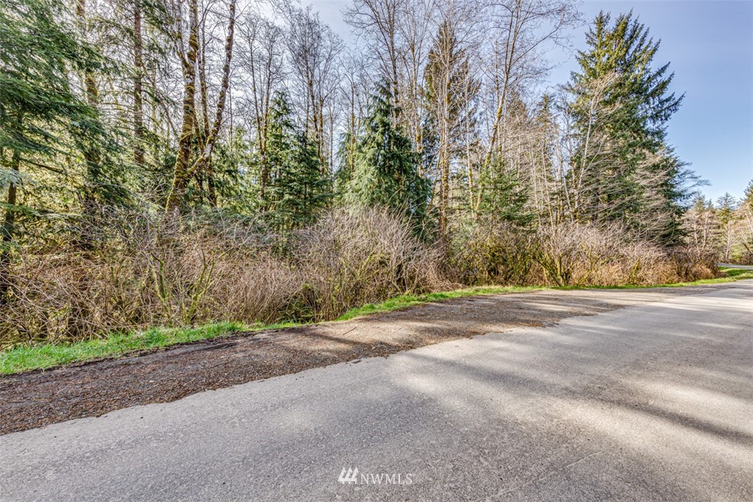 0 Goodman Mainline Road Forks, WA 98331 - Photo 6 of 28 Gallery Image 6