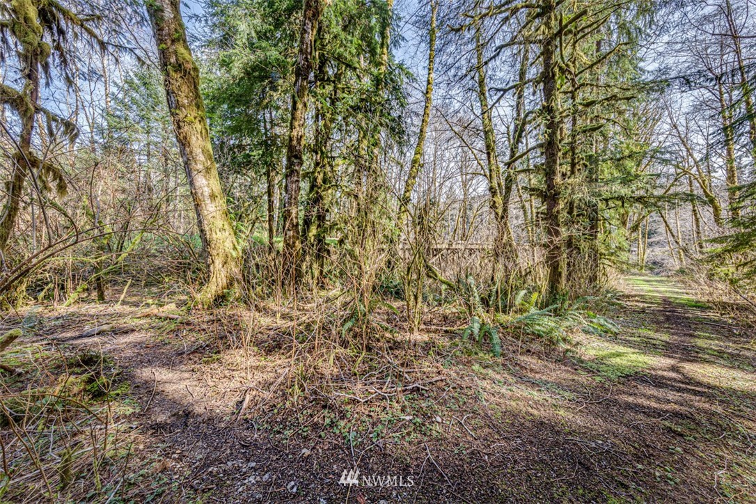 0 Goodman Mainline Road Forks, WA 98331 - Photo 9 of 28 Gallery Image 9