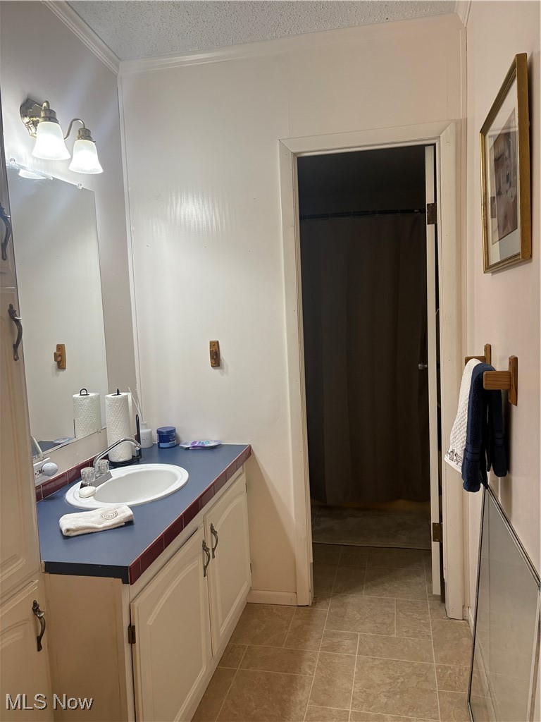 8672 Ridgeview Road Blue Rock, OH 43720 - Photo 8 of 15 Bathroom with vanity, a textured ceiling, ornamental molding, and light tile patterned floors