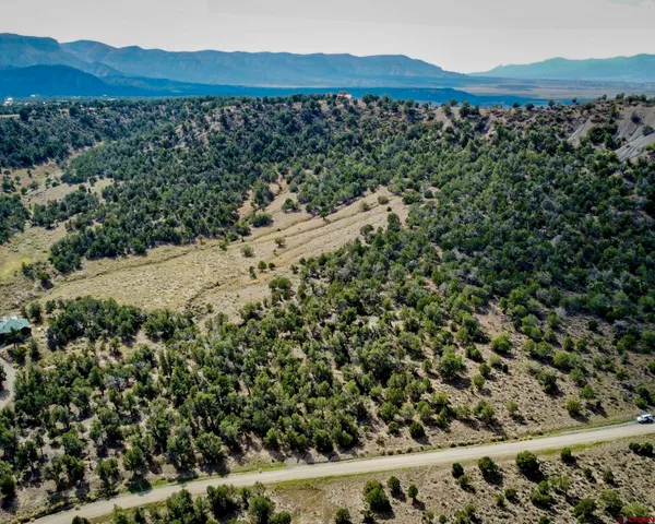 a view of dirt yard with a large tree