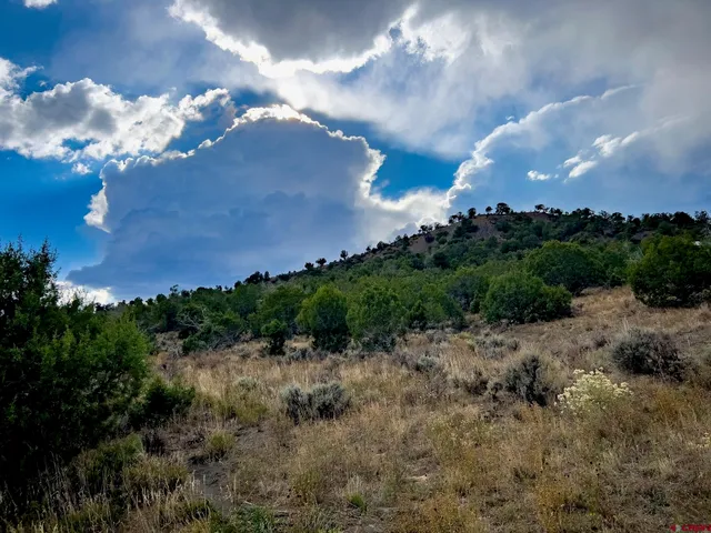 a view of a big yard with lots of green space and lake view