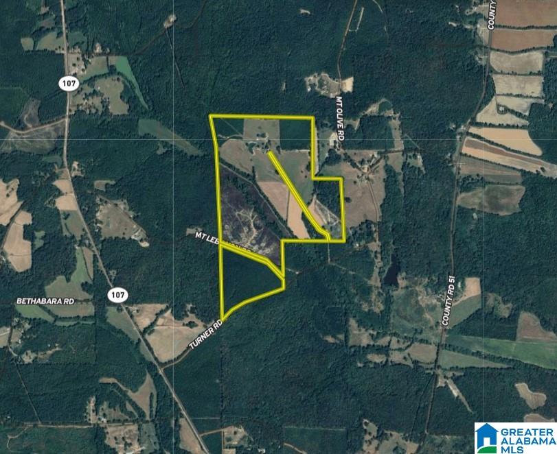 845 Turner Road Fayette, AL 35555 - Photo 60 of 61