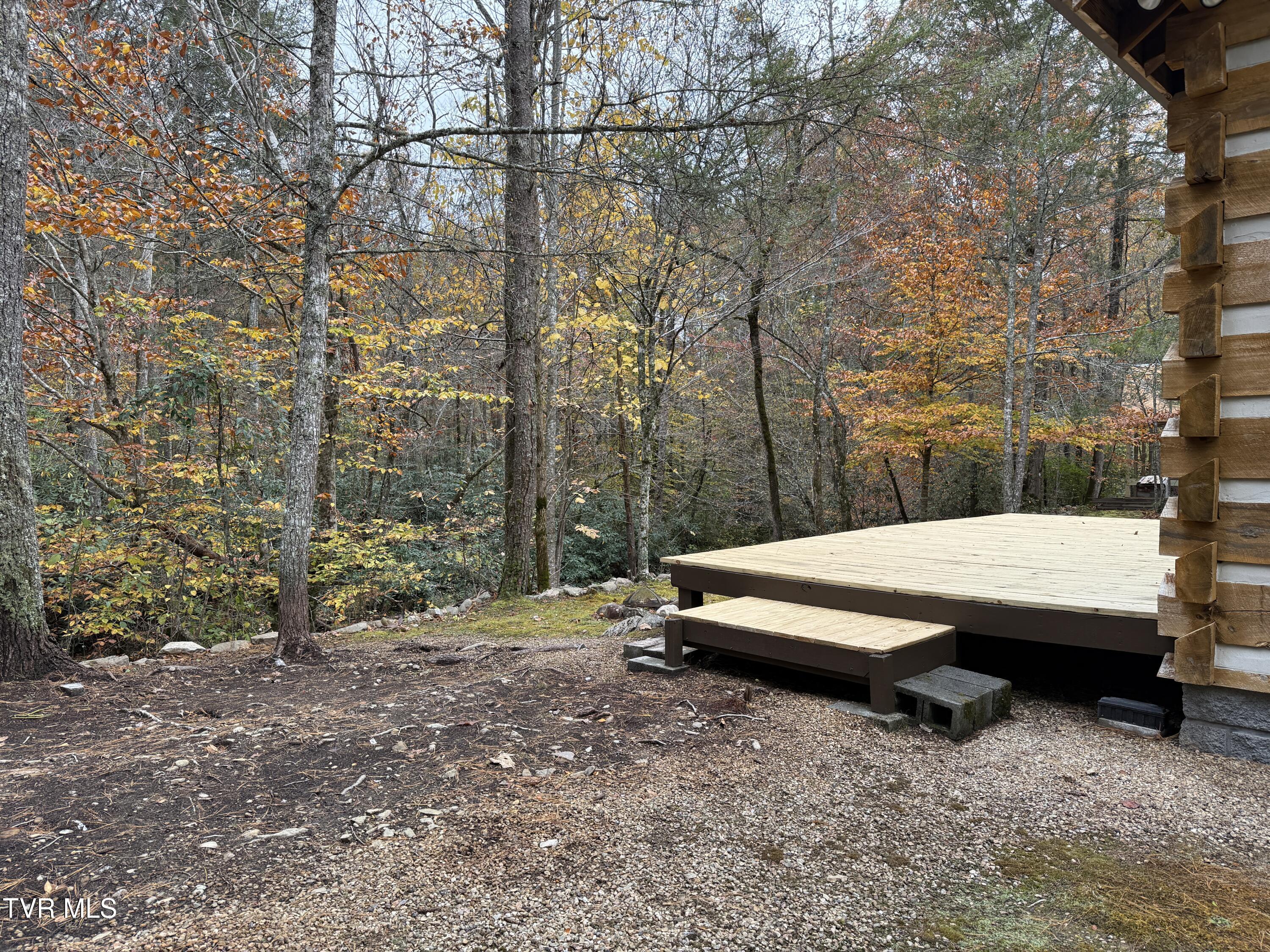 5633 Lower Paint Creek Road Greeneville, TN 37743 - Photo 6 of 49 IMG_8843 2