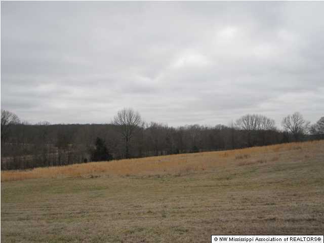 10 Robertson Gin Road Hernando, MS 38632 - Photo 4 of 30 Additional Photo
