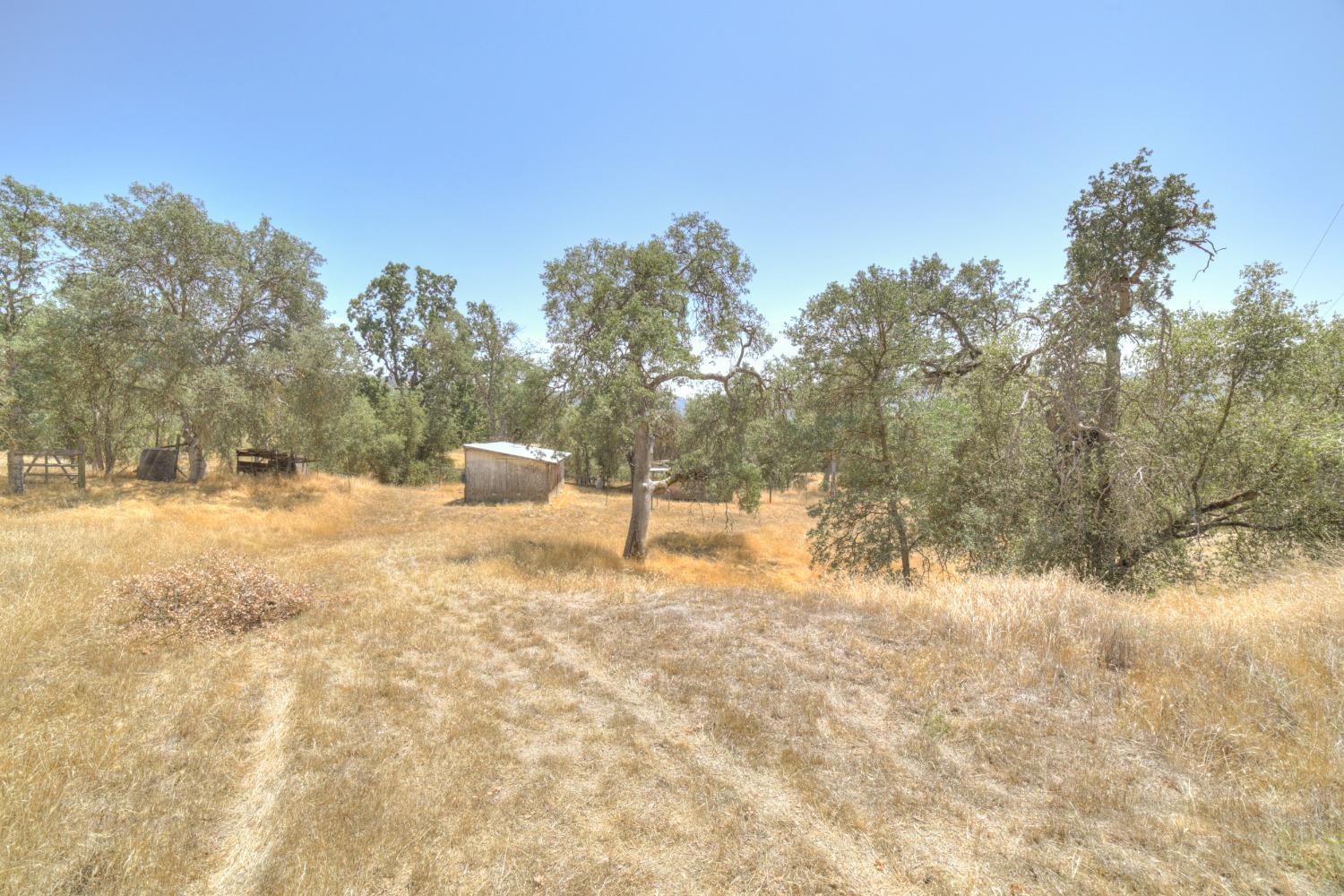 36301 East Kings Canyon Road Dunlap, CA 93621 - Photo 3 of 33 Gallery Image 3