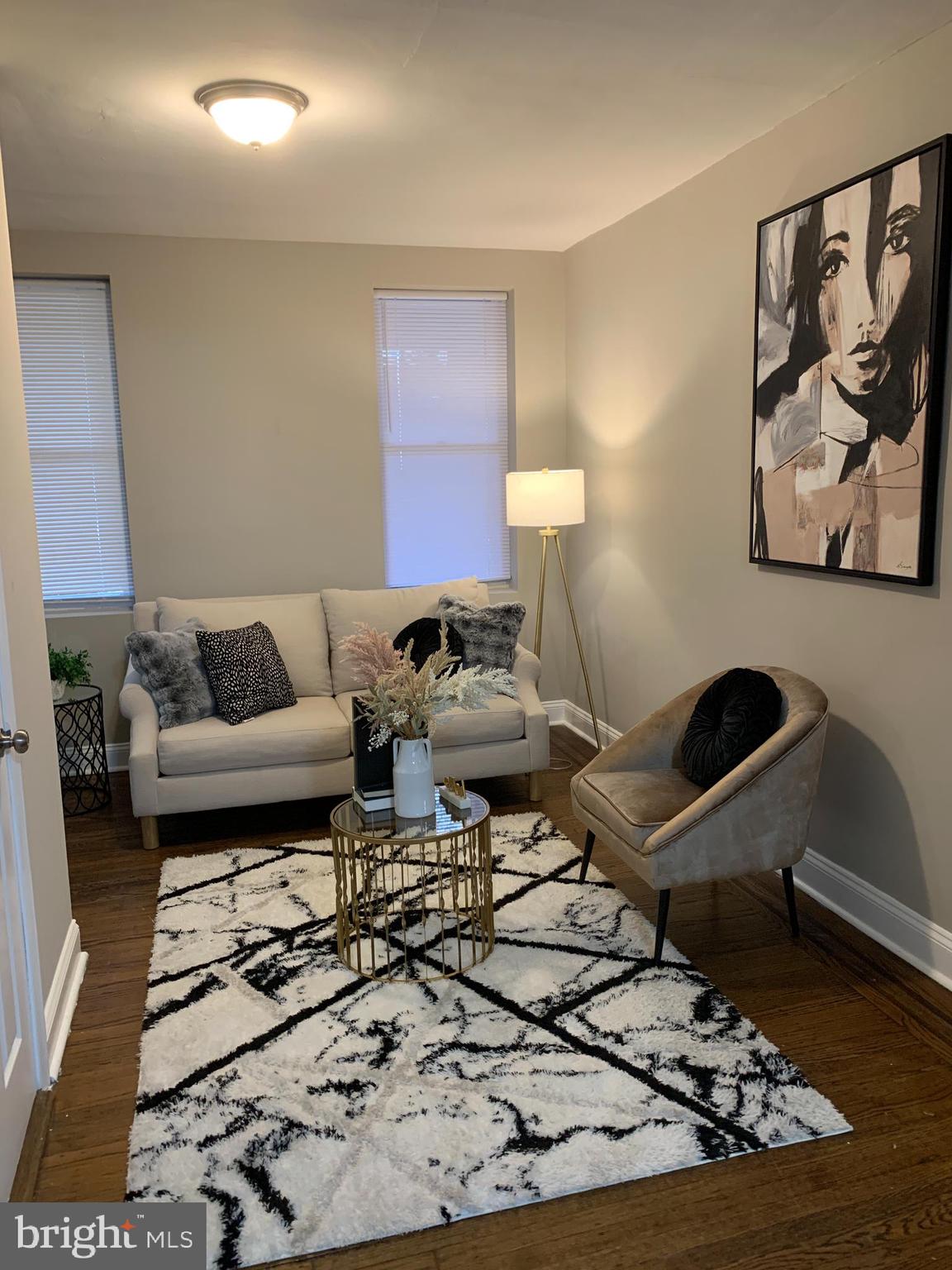 741 Springfield Avenue Baltimore, MD 21212 - Photo 3 of 40 Gallery Image 3