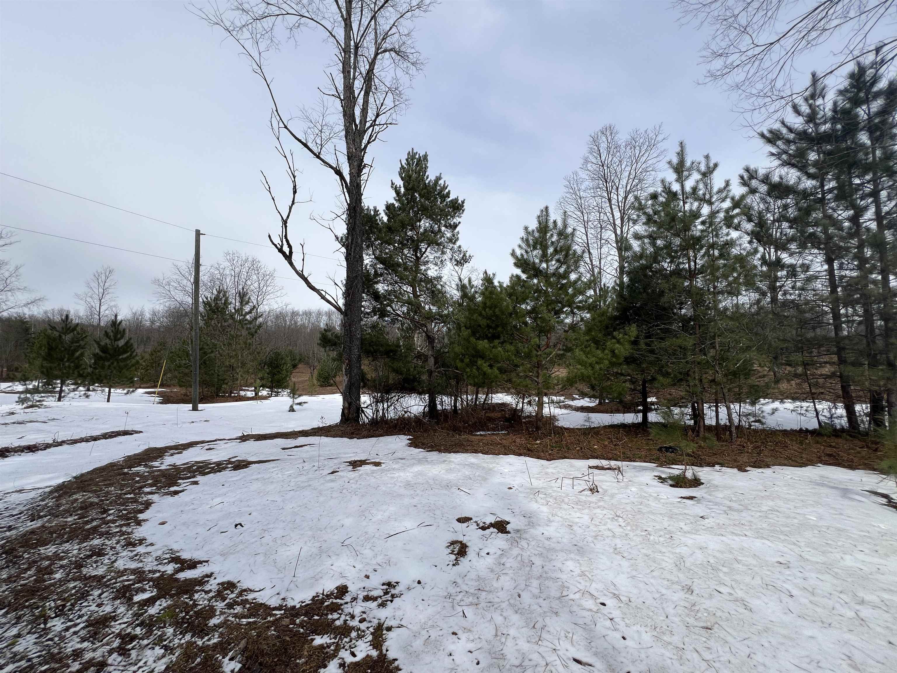 3716 Luce Road South Boardman, MI 49680 - Photo 7 of 9