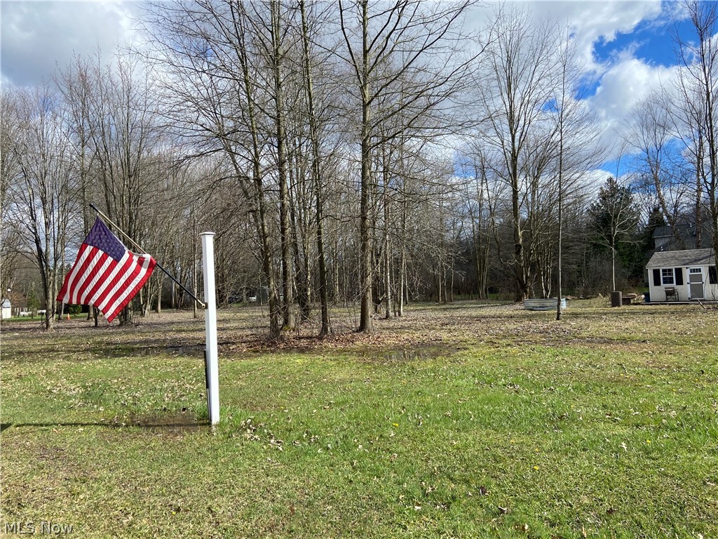 123 Roaming Way Rome, OH 44085 - Photo 14 of 17 View of yard