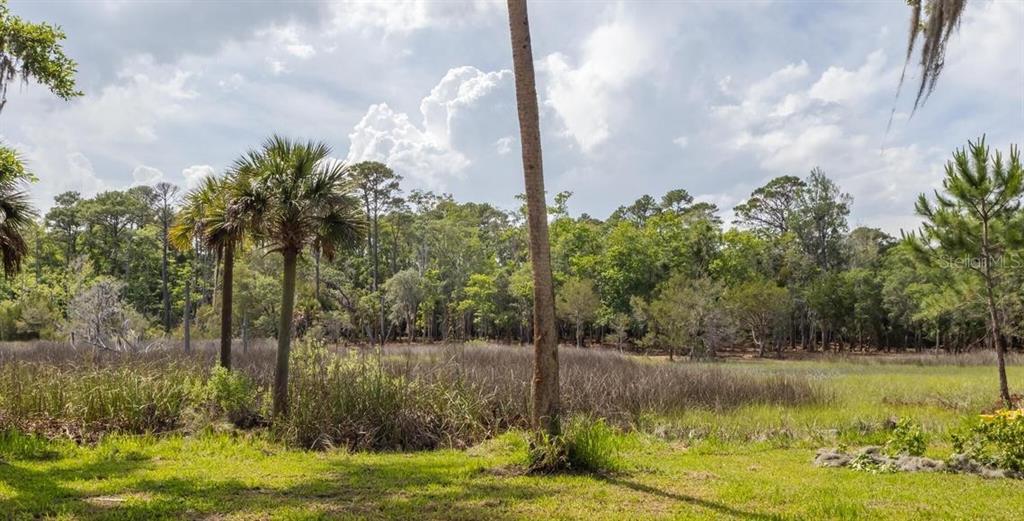 7149 Fitzpatrick Lane Jacksonville, FL 32226 - Photo 12 of 69