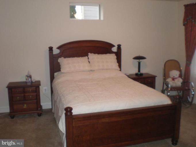 18603 Thundercloud Road Boyds, MD 20841 - Photo 21 of 30 Basement bedroom