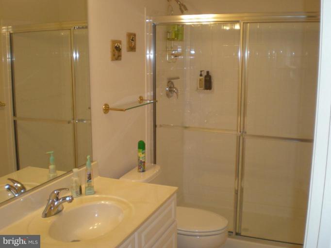 18603 Thundercloud Road Boyds, MD 20841 - Photo 22 of 30 Basement bath