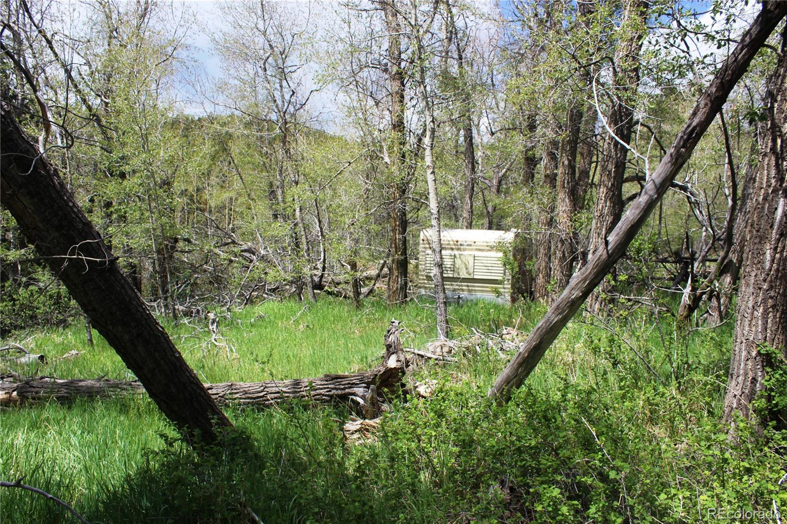 0 Quartz Hill Road Central City, CO 80427 - Photo 21 of 30