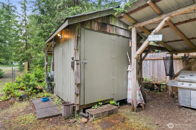 a view of a backyard with plants and large tree