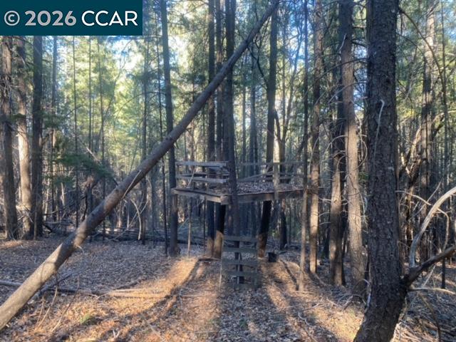 9471 Wildcat Road Kelseyville, CA 95451 - Photo 11 of 14 a view of a house with a yard