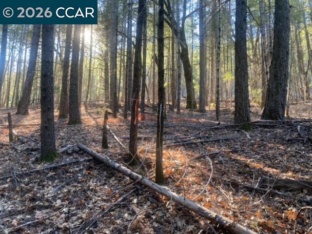 9471 Wildcat Road Kelseyville, CA 95451 - Photo 12 of 14 a view of a backyard with trees