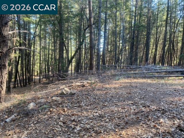 9471 Wildcat Road Kelseyville, CA 95451 - Photo 13 of 14