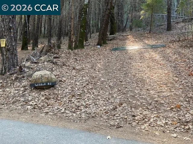 a backyard of a house