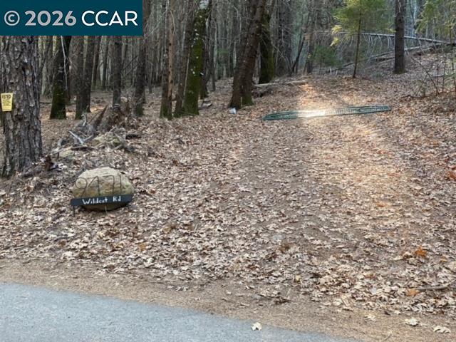9471 Wildcat Road Kelseyville, CA 95451 - Photo 2 of 14 a backyard of a house