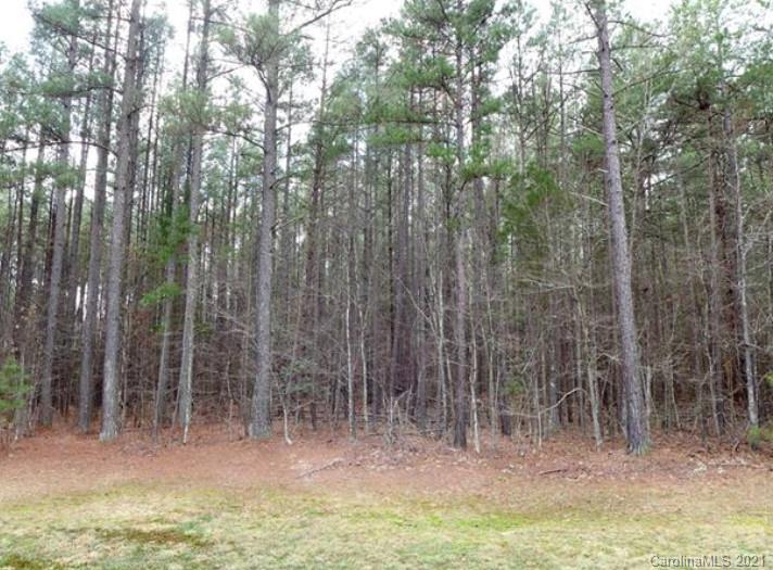 0 Emerald Ridge Road Salisbury, NC 28146 - Photo 1 of 15 Gallery Image 1