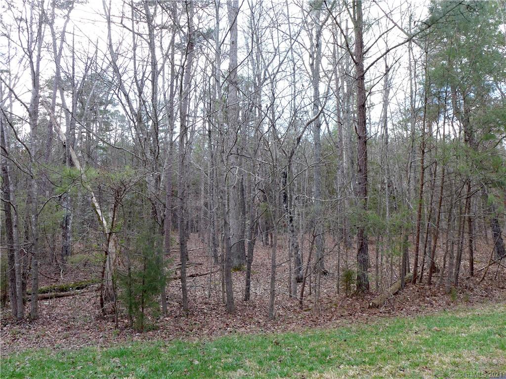 0 Emerald Ridge Road Salisbury, NC 28146 - Photo 6 of 15 Gallery Image 6