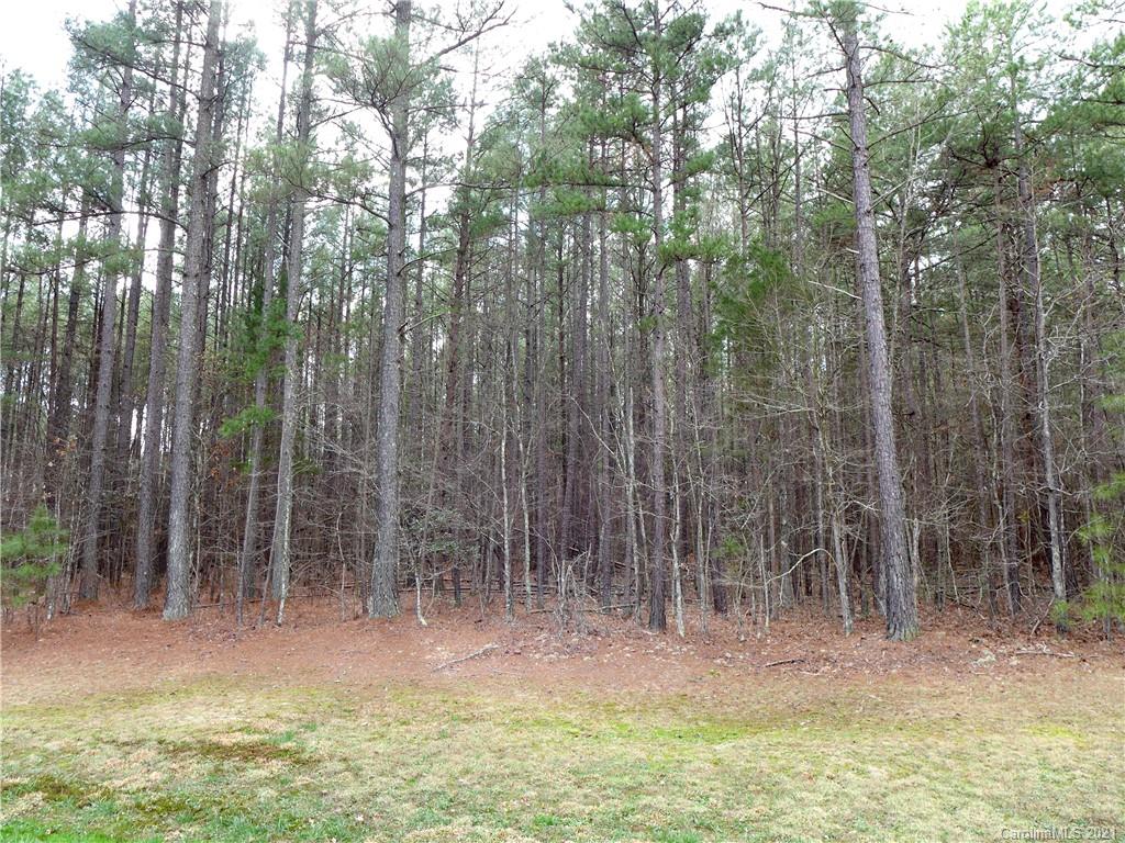 0 Emerald Ridge Road Salisbury, NC 28146 - Photo 7 of 15 Gallery Image 7