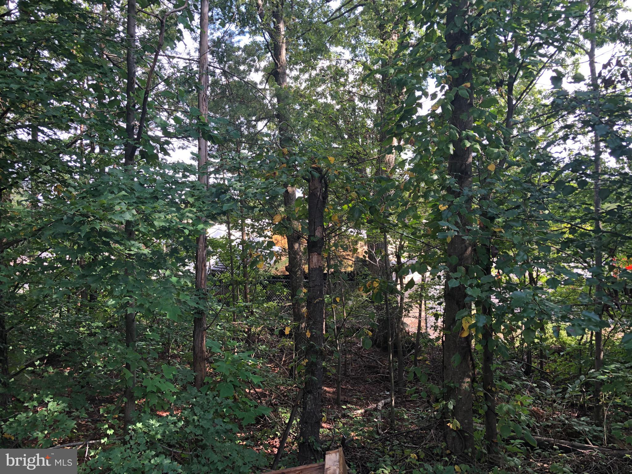 12974 Augustus Court Woodbridge, VA 22192 - Photo 47 of 50