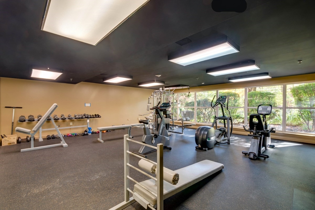 1 Watermill Place, Unit 308 Arlington, MA 02476 - Photo 24 of 27 a living room with furniture and a large window
