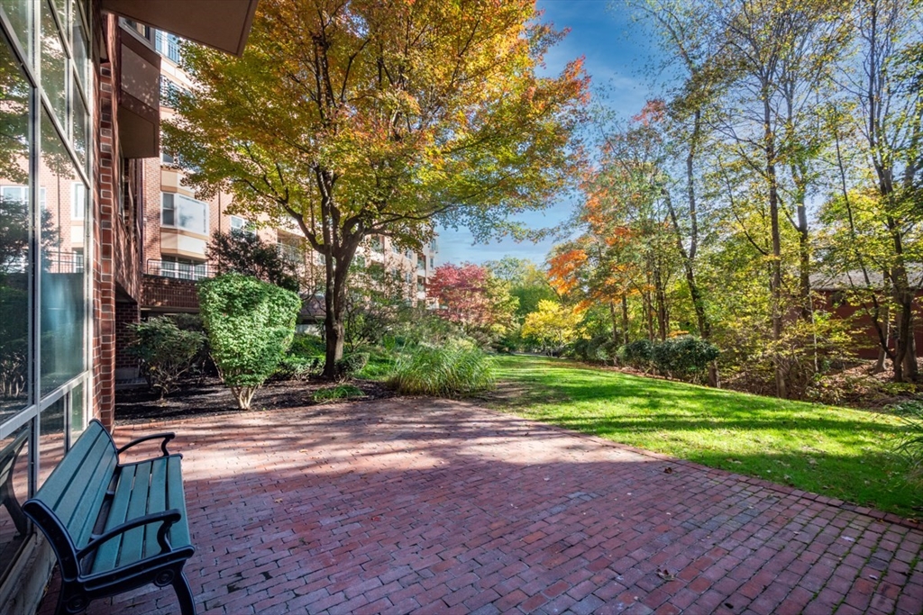 1 Watermill Place, Unit 308 Arlington, MA 02476 - Photo 25 of 27 a view of a yard with plants and trees