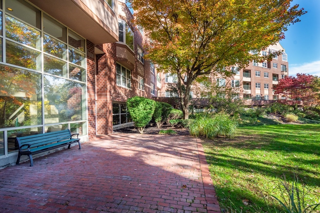 1 Watermill Place, Unit 308 Arlington, MA 02476 - Photo 27 of 27 a backyard of a house with lots of green space