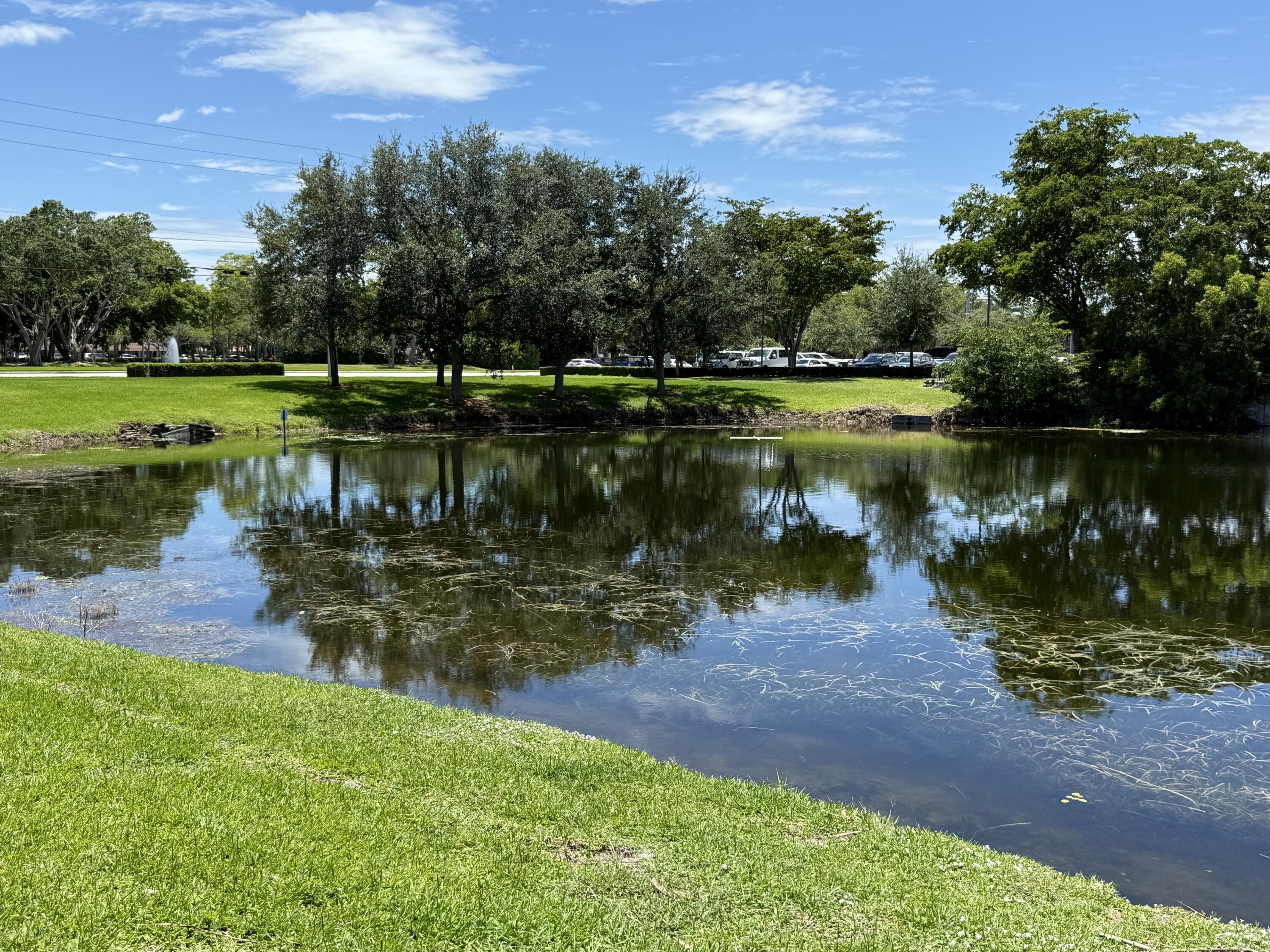 6806 Via Regina Boca Raton, FL 33433 - Photo 50 of 51 a view of a lake with a yard and large trees