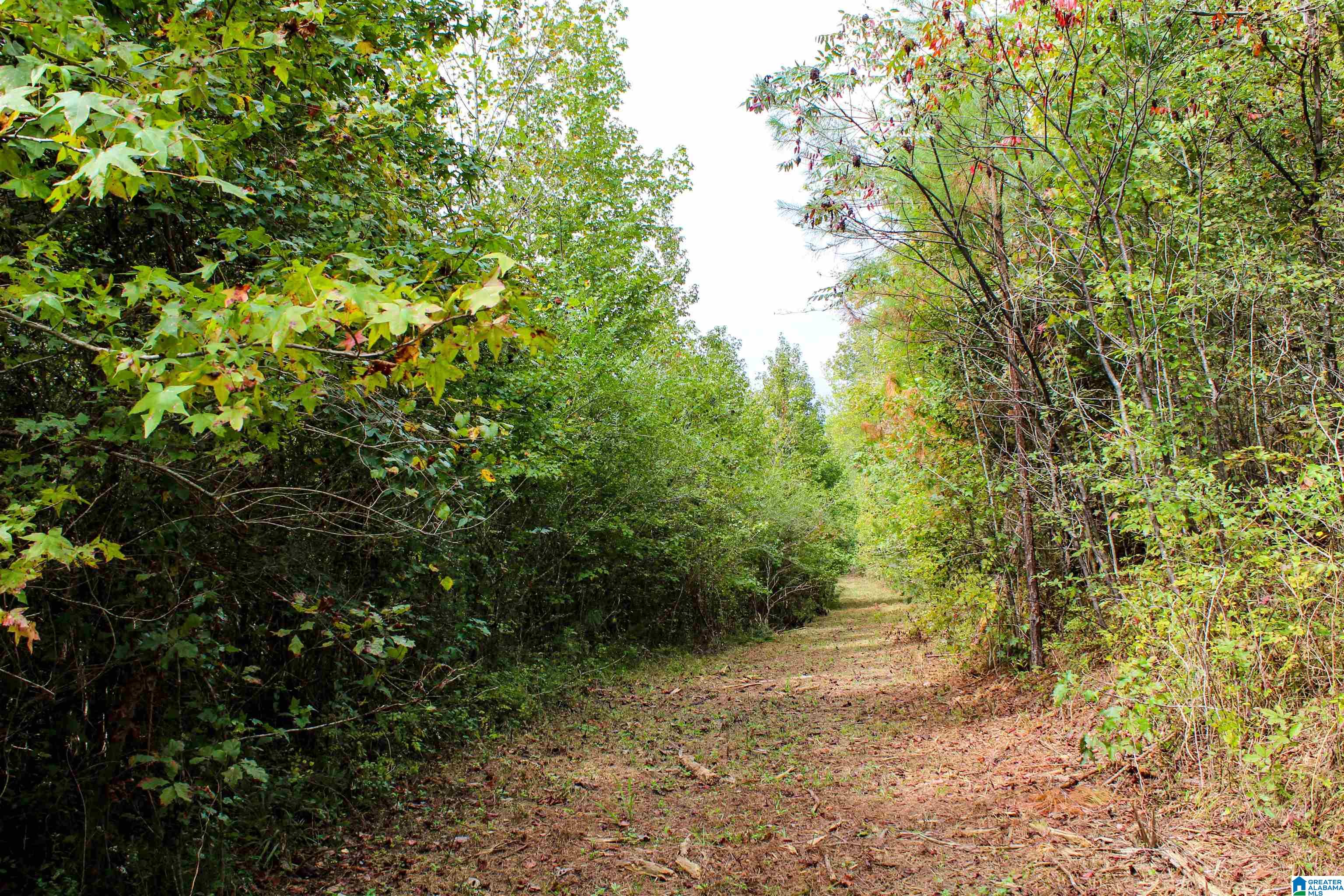 1 Highway 18, Unit 1 Oakman, AL 35579 - Photo 16 of 46
