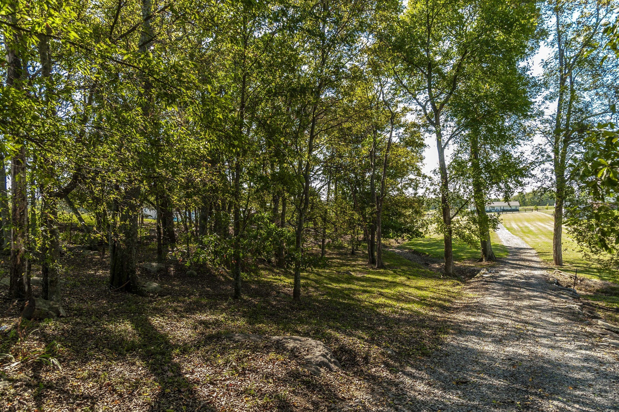 531 Governor Hall Road Castalian Springs, TN 37031 - Photo 51 of 57