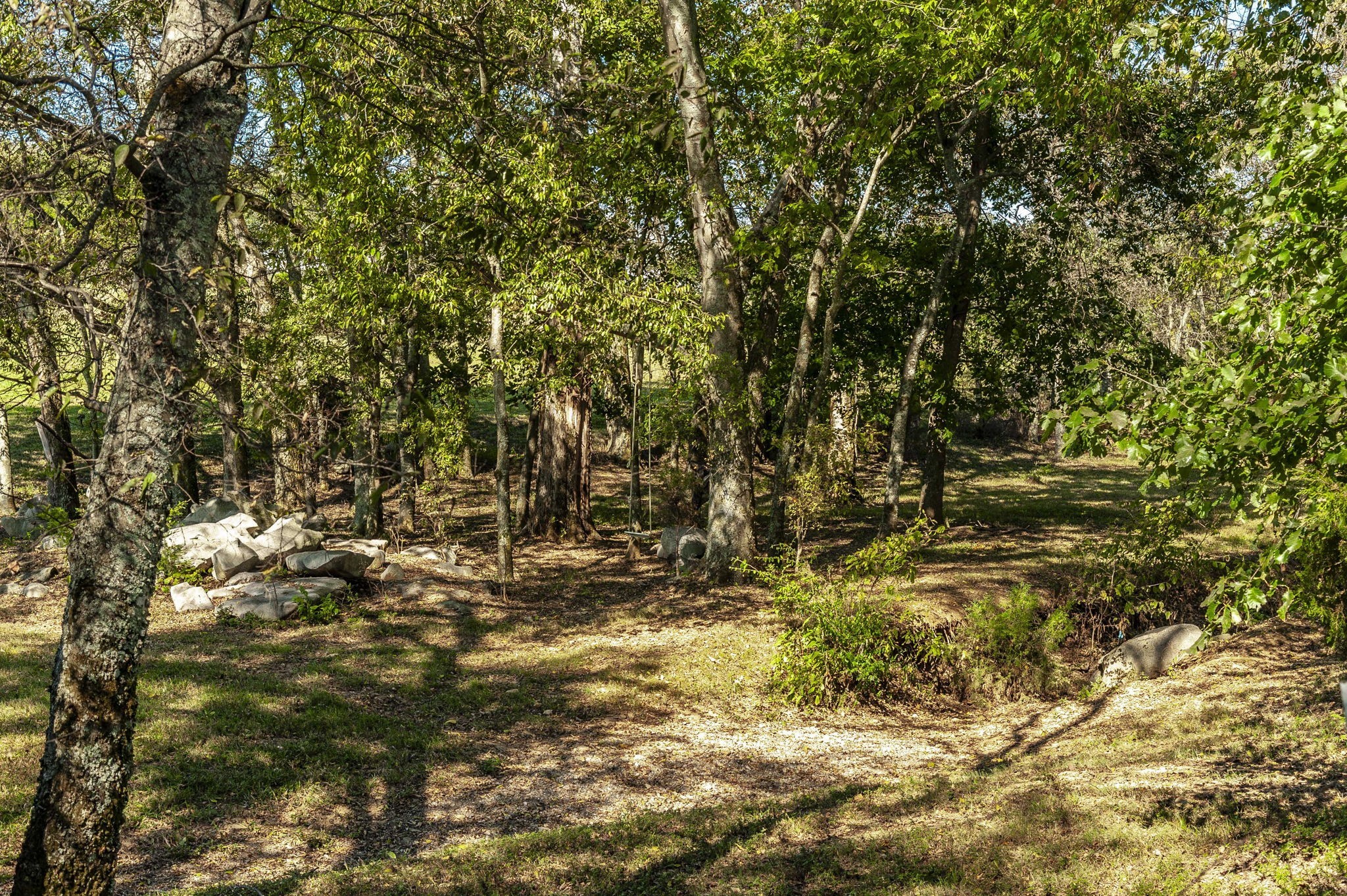 531 Governor Hall Road Castalian Springs, TN 37031 - Photo 52 of 57