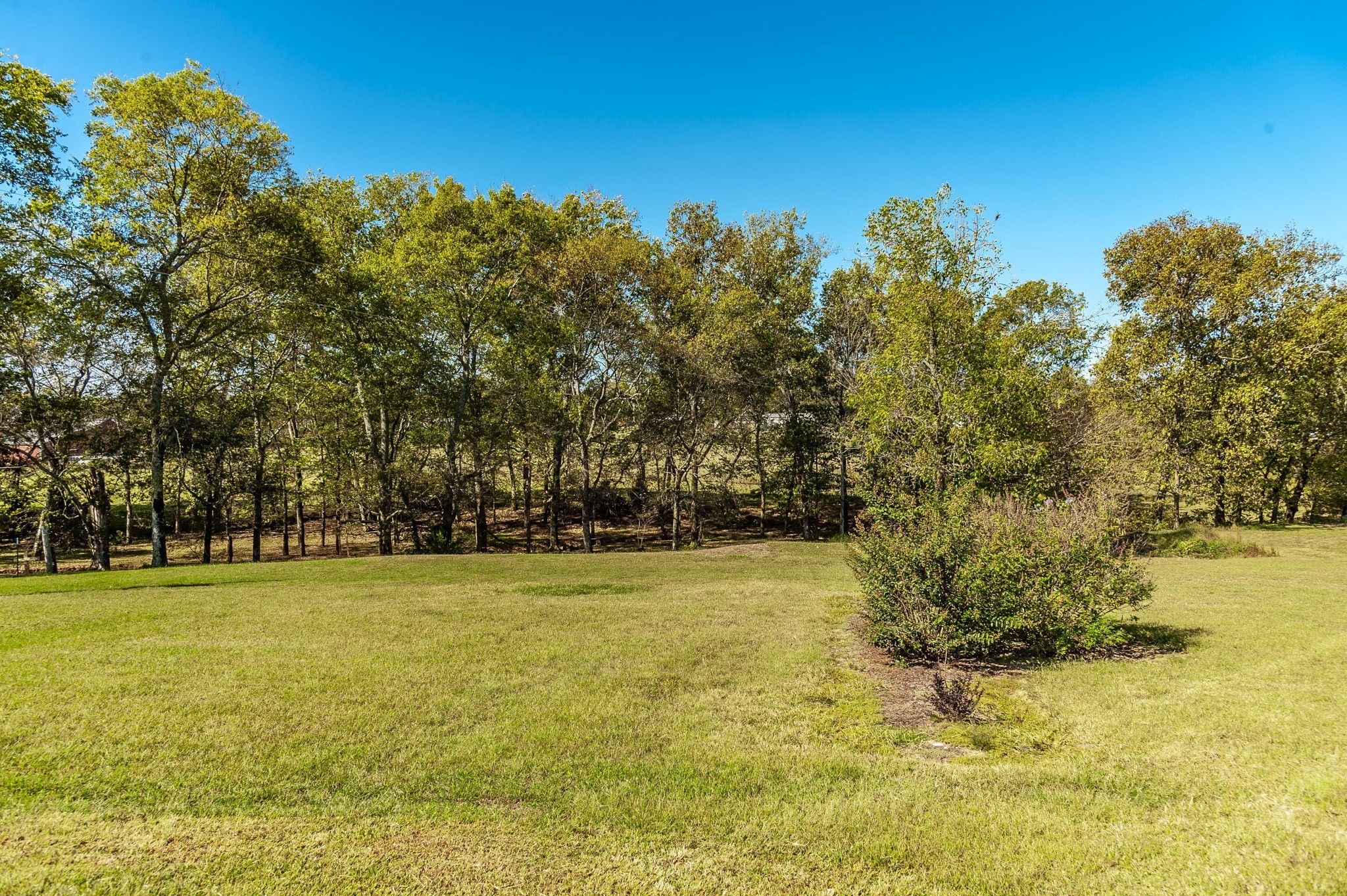 531 Governor Hall Road Castalian Springs, TN 37031 - Photo 53 of 57