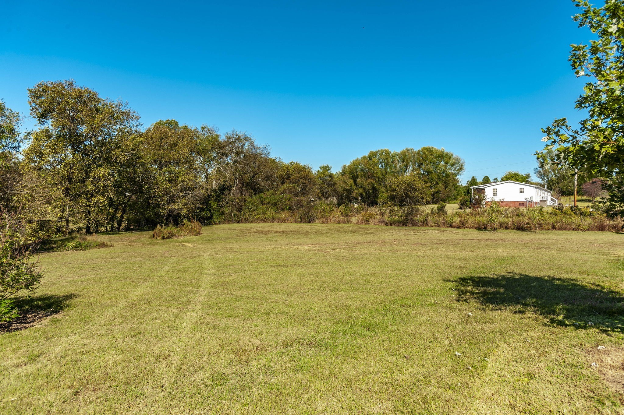 531 Governor Hall Road Castalian Springs, TN 37031 - Photo 54 of 57