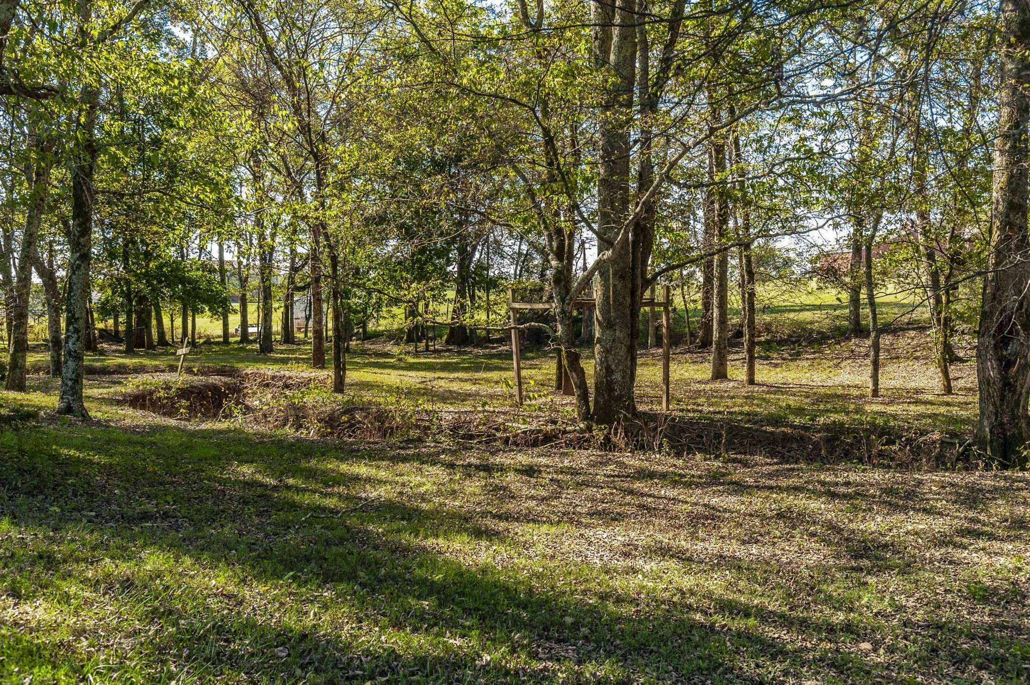 531 Governor Hall Road Castalian Springs, TN 37031 - Photo 56 of 57