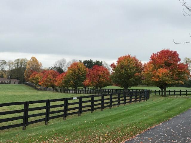 3323 Haley Road Lexington, KY 40516 - Photo 30 of 34 IMG_0087
