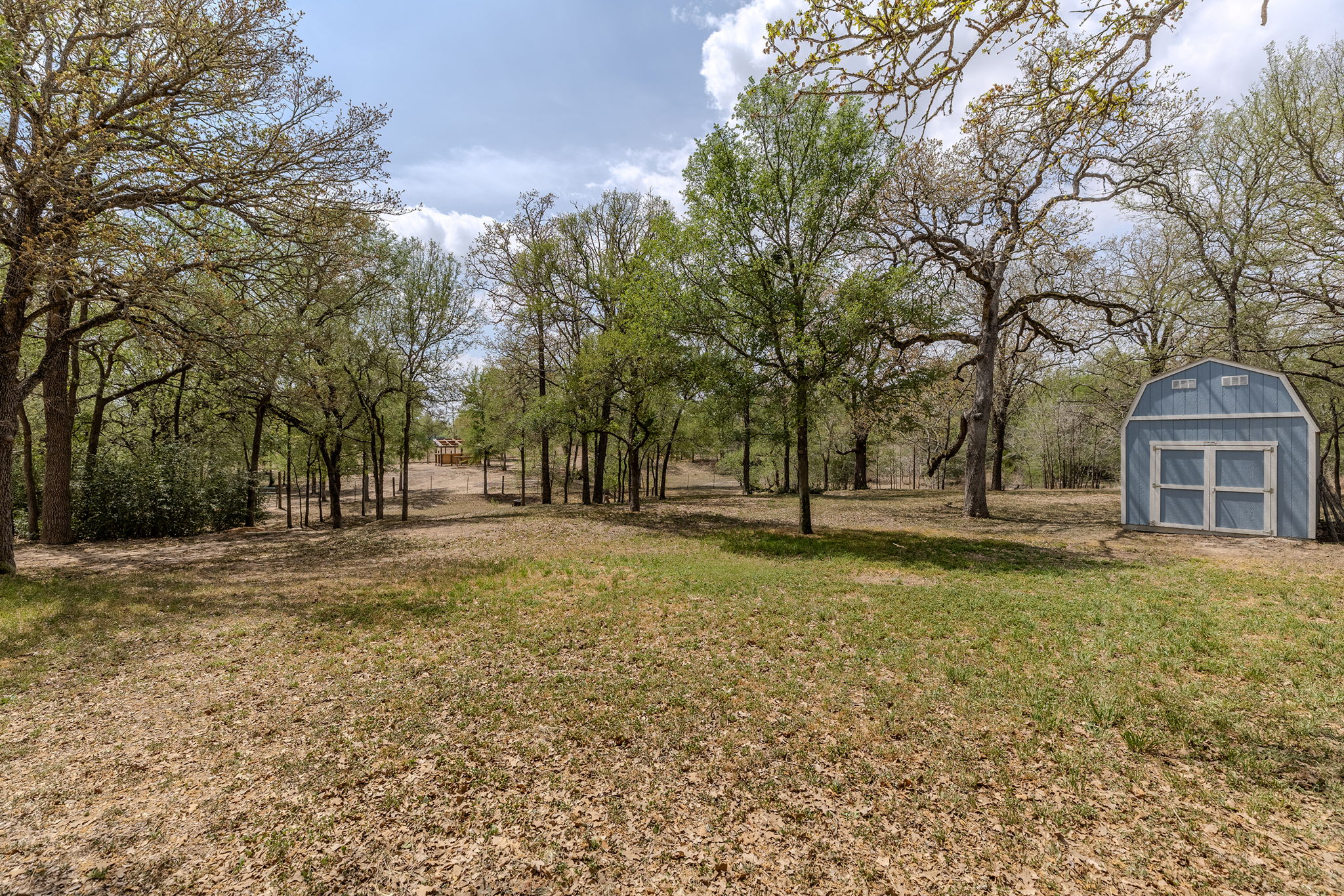202 The Oaks Boulevard Elgin, TX 78621 - Photo 12 of 40 View of green lawn featuring a storage unit