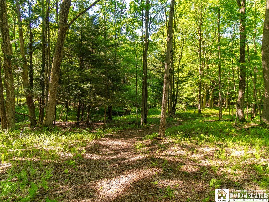 3946 Camp Road Sherman, NY 14781 - Photo 10 of 48